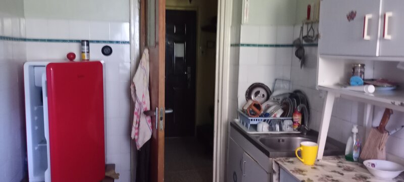 Colentina, Obor,